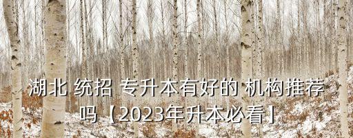 湖北 統(tǒng)招 專升本有好的 機構(gòu)推薦嗎【2023年升本必看】