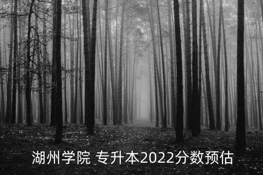  湖州學(xué)院 專升本2022分?jǐn)?shù)預(yù)估