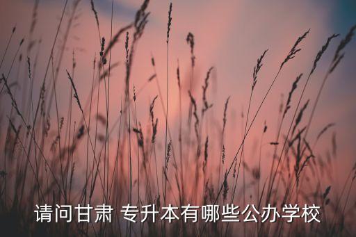 請(qǐng)問甘肅 專升本有哪些公辦學(xué)校