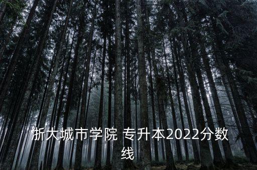  浙大城市學(xué)院 專升本2022分數(shù)線