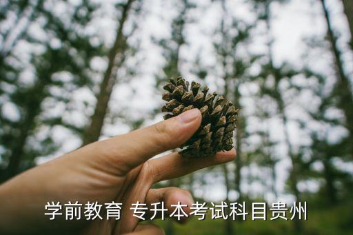 學(xué)前教育 專升本考試科目貴州