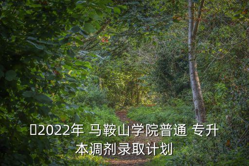 ?2022年 馬鞍山學院普通 專升本調劑錄取計劃