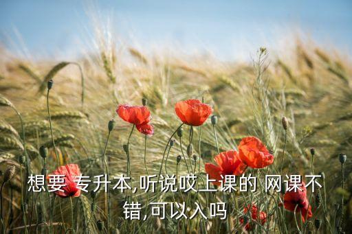 想要 專升本,聽說哎上課的 網(wǎng)課不錯(cuò),可以入嗎