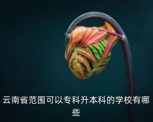 云南省范圍可以專科升本科的學(xué)校有哪些