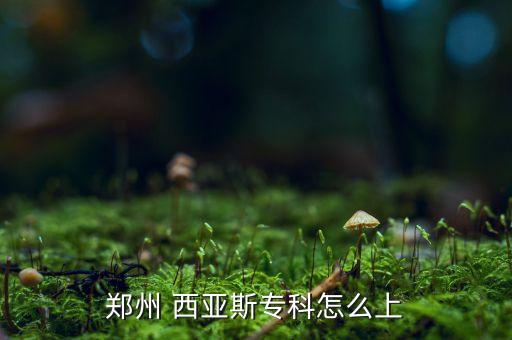 西亞斯專升本好進嗎,鄭州西亞斯學院專升本分數(shù)線