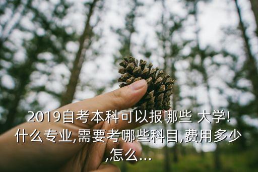 2019自考本科可以報(bào)哪些 大學(xué)!什么專業(yè),需要考哪些科目,費(fèi)用多少,怎么...