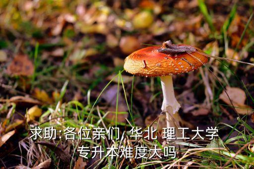 求助:各位親們, 華北 理工大學(xué) 專升本難度大嗎