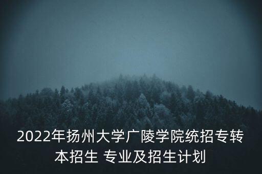 2022年揚州大學(xué)廣陵學(xué)院統(tǒng)招專轉(zhuǎn)本招生 專業(yè)及招生計劃