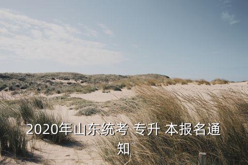 2020年山東統(tǒng)考 專升 本報名通知