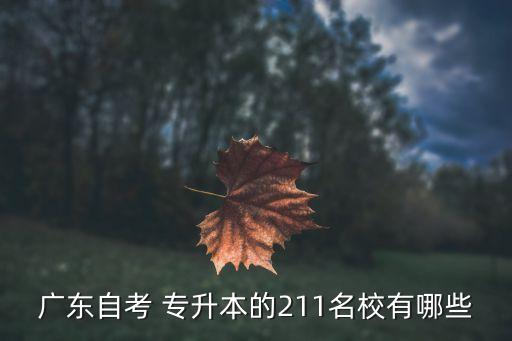 廣東自考 專升本的211名校有哪些