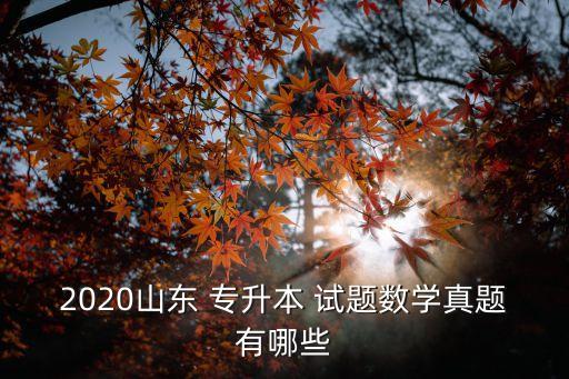 2020山東 專(zhuān)升本 試題數(shù)學(xué)真題有哪些