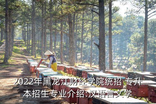 2022年黑龍江財(cái)經(jīng)學(xué)院統(tǒng)招 專升本招生專業(yè)介紹:漢語言文學(xué)