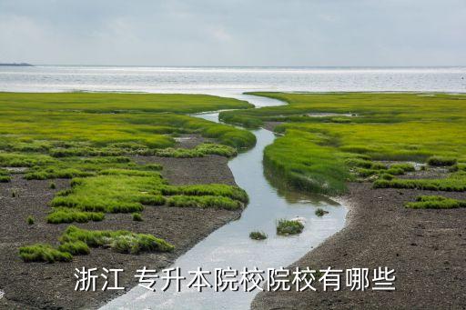  浙江 專升本院校院校有哪些