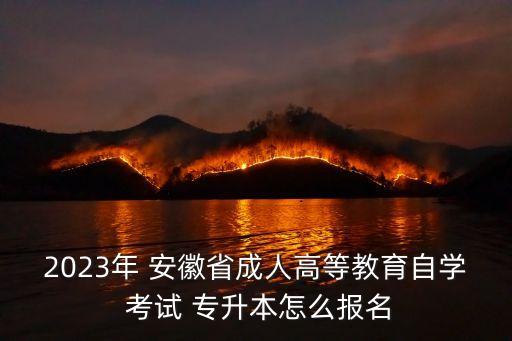 2023年 安徽省成人高等教育自學(xué) 考試 專升本怎么報(bào)名