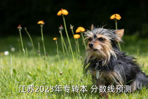  江蘇2023年專轉(zhuǎn)本 分數(shù)線預測