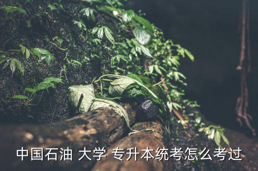 中國石油 大學(xué) 專升本統(tǒng)考怎么考過