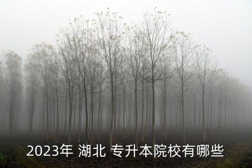 2023年 湖北 專升本院校有哪些