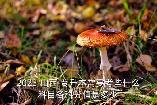 專升本山西高數(shù)真題答案,2022河南專升本高數(shù)真題