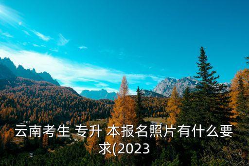 云南考生 專升 本報(bào)名照片有什么要求(2023