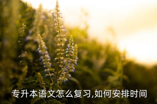  專升本語文怎么復(fù)習,如何安排時間