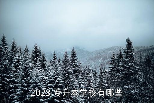 2023 專升本學(xué)校有哪些