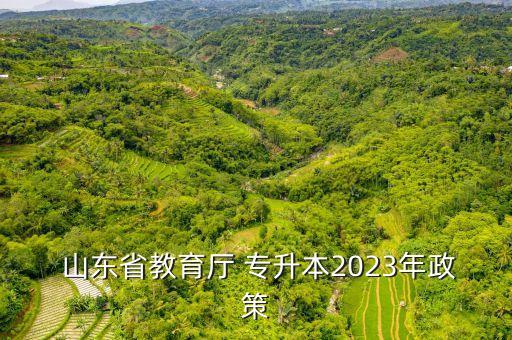  山東省教育廳 專升本2023年政策