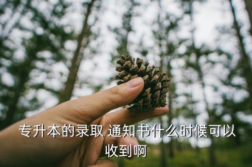  專升本的錄取 通知書什么時候可以收到啊