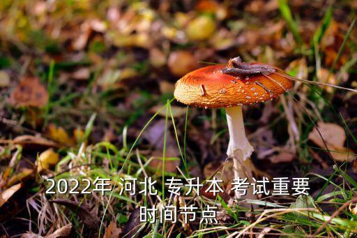 2022年 河北 專升本 考試重要時(shí)間節(jié)點(diǎn)