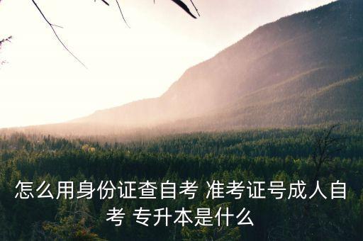 怎么用身份證查自考 準(zhǔn)考證號成人自考 專升本是什么