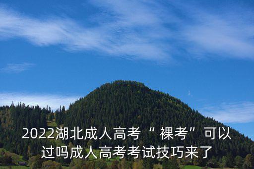 2022湖北成人高考“ 裸考”可以過嗎成人高考考試技巧來了