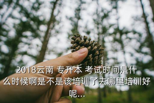 2018云南 專升本 考試時間是什么時候啊是不是該培訓(xùn)了去哪里培訓(xùn)好呢...