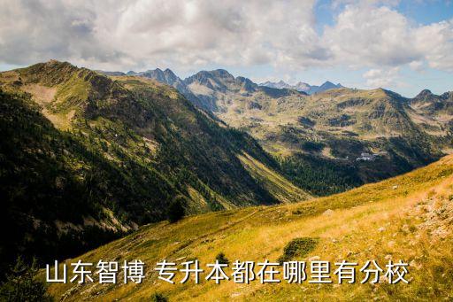 山東智博 專升本都在哪里有分校