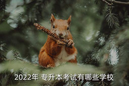 2022年 專升本考試有哪些學校